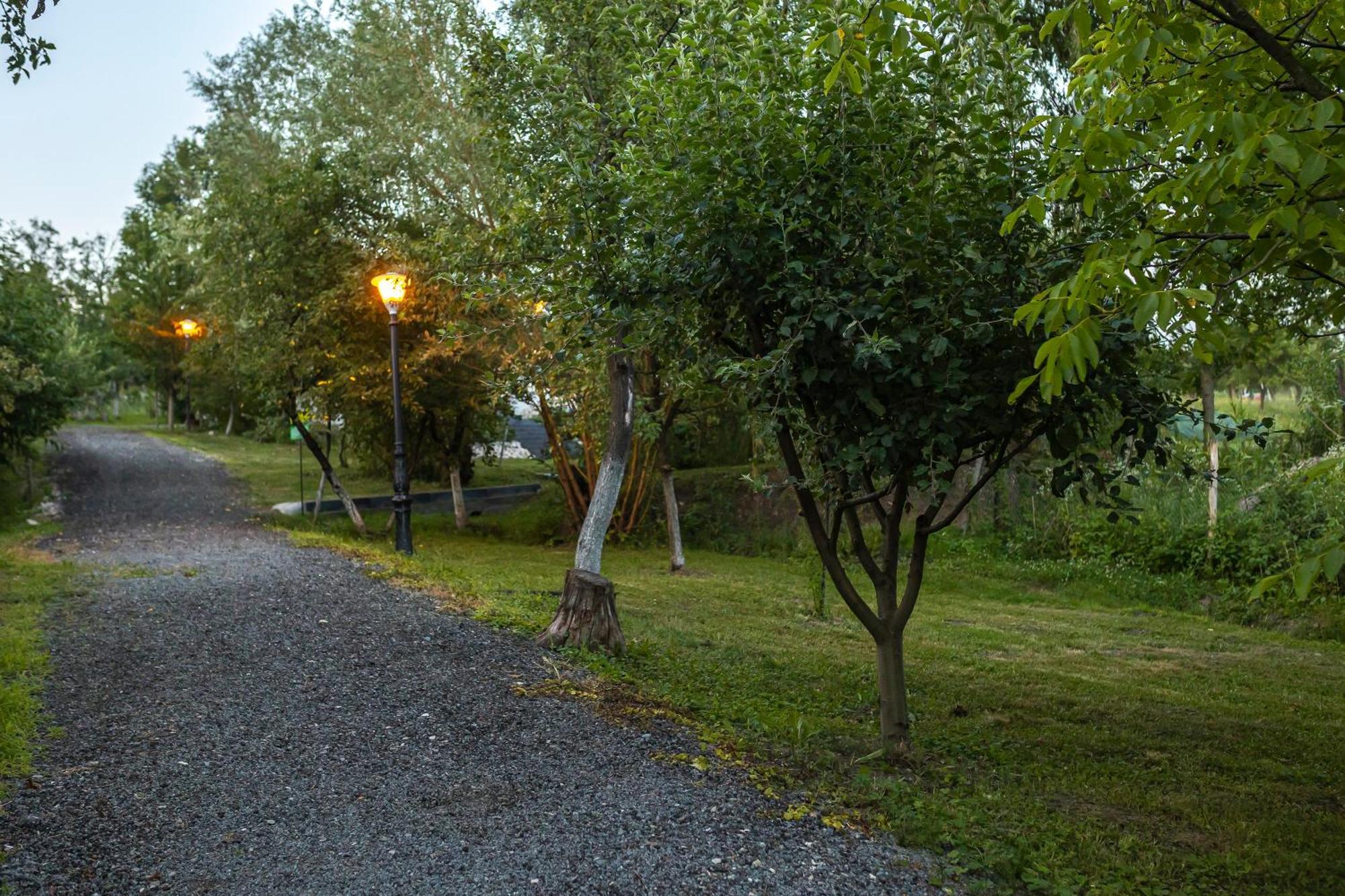 Agropensiunea Colev Stremt Dış mekan fotoğraf